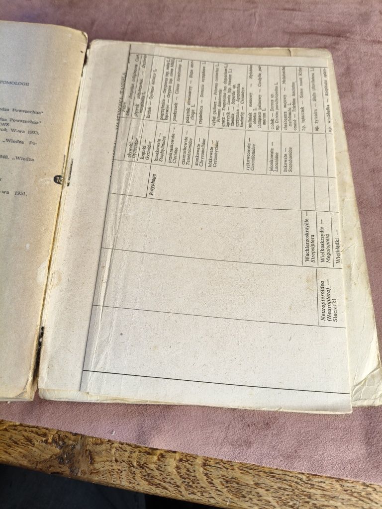 Książka Doktor Muchołapski 54