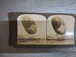 Rara foto estereoscopica zeppelin