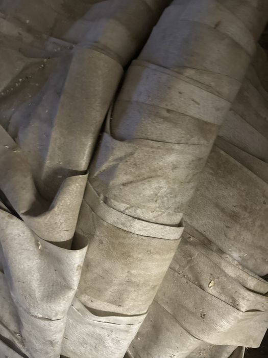 agro włóknina  do przykrycia buraków cukrowych