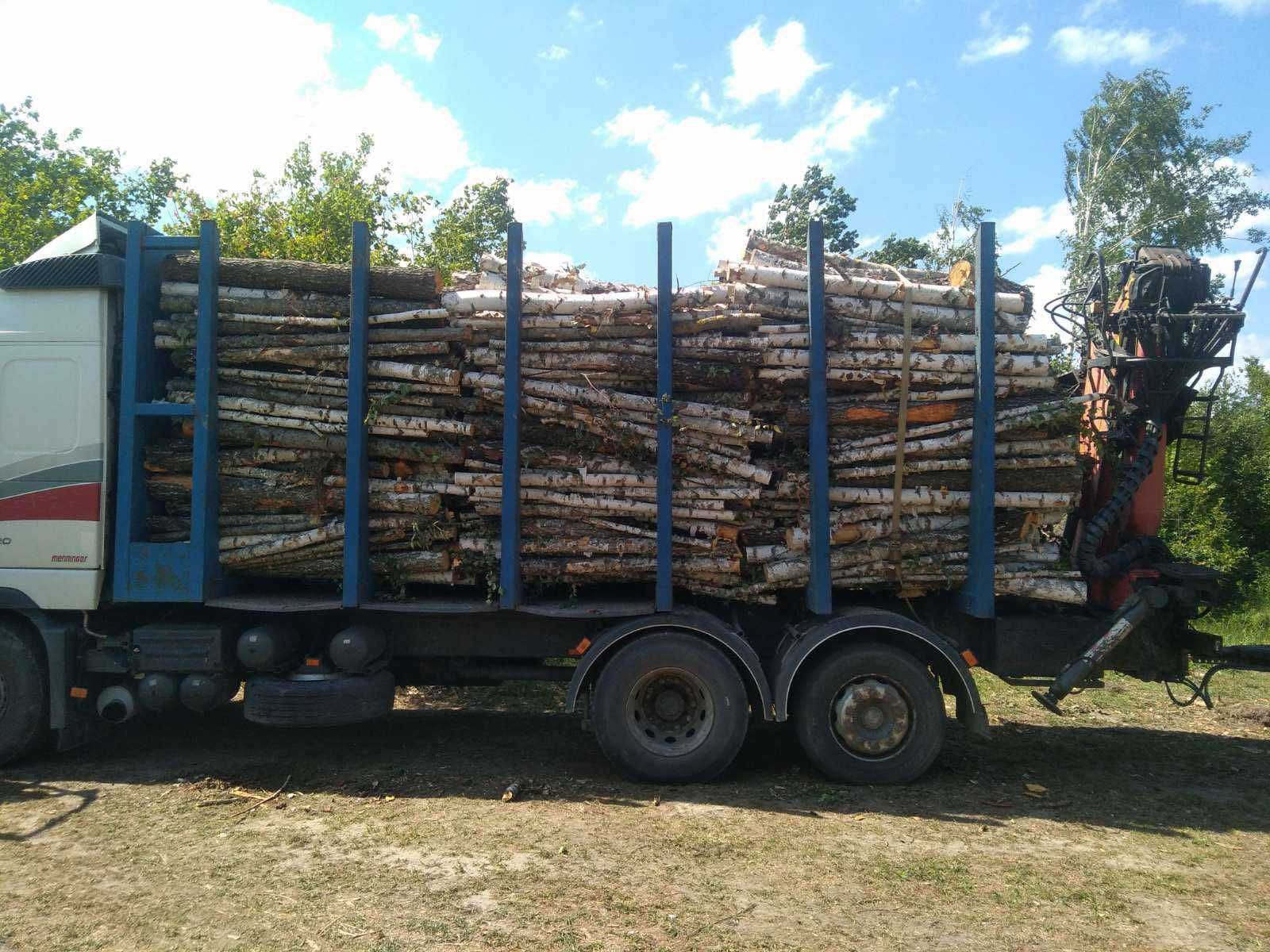 Дрова береза,сосна,вільха,щепа