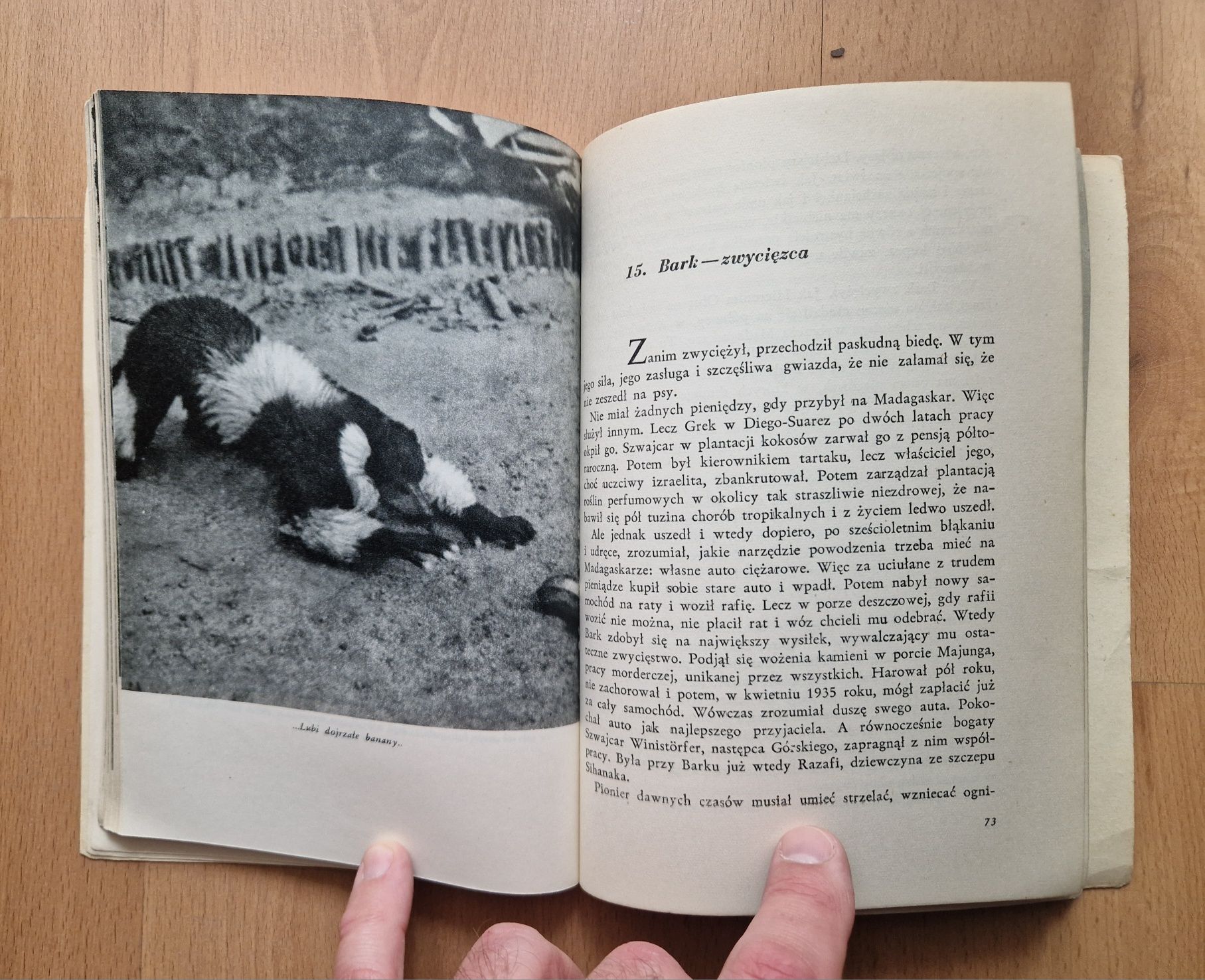 Wyspa kochających lemurów - Arkady Fiedler 1957