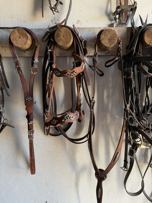 Vendo material a portuguesa de cortesia