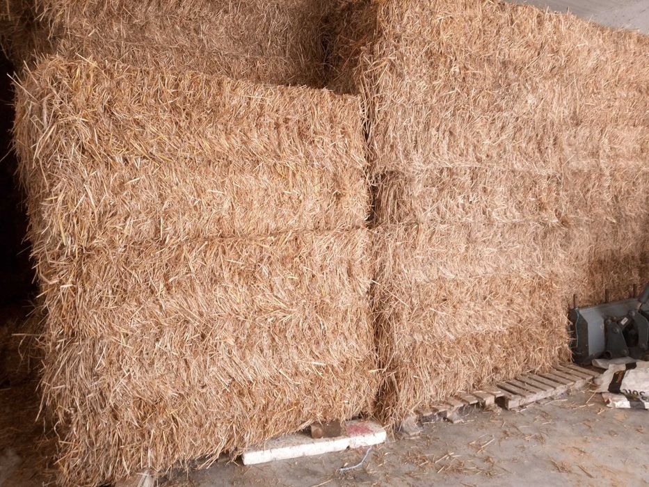 Fardos de feno médios