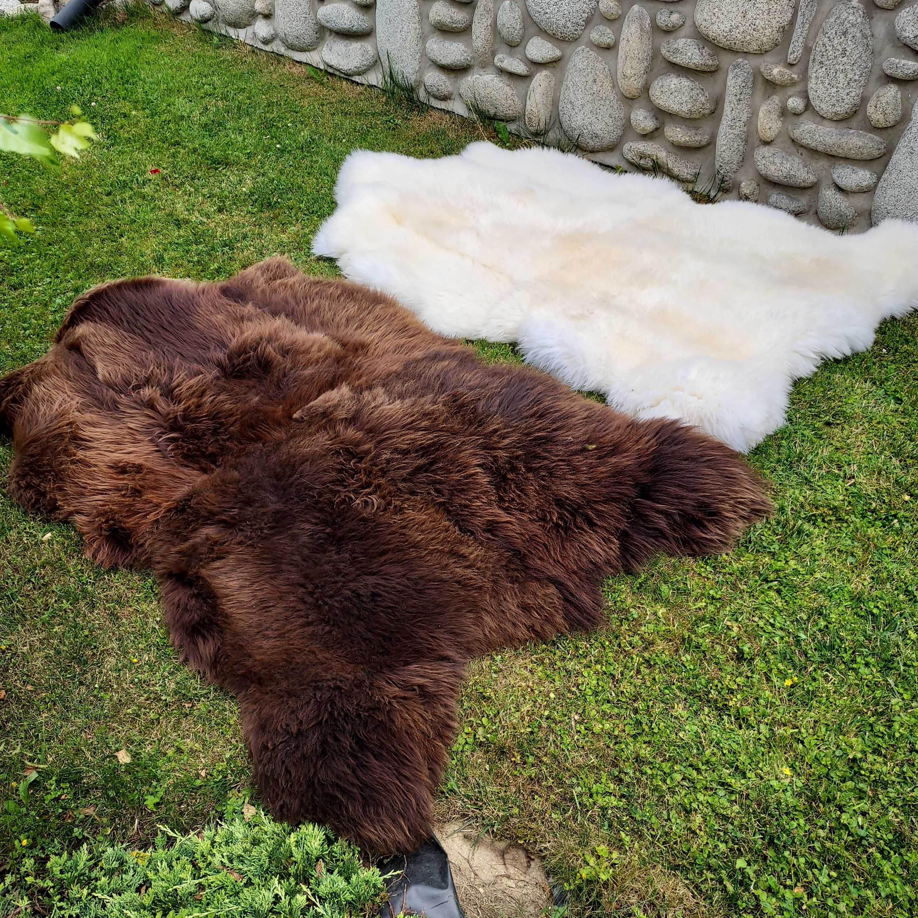 Skóra Niedźwiedź Dywan XXXL Skóra Owcza Naturalna WIelka Skóra Dywan