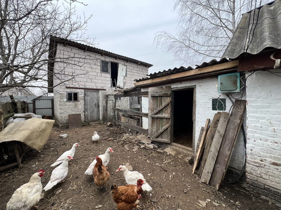 Продам будинок 82,3 м2 с.Андріївка ( Бориспільський р-н)