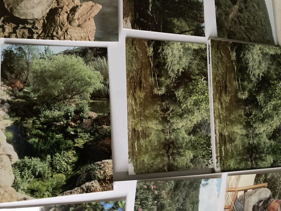 Postais: Sítio Classificado da Fonte Benémola -Loulé