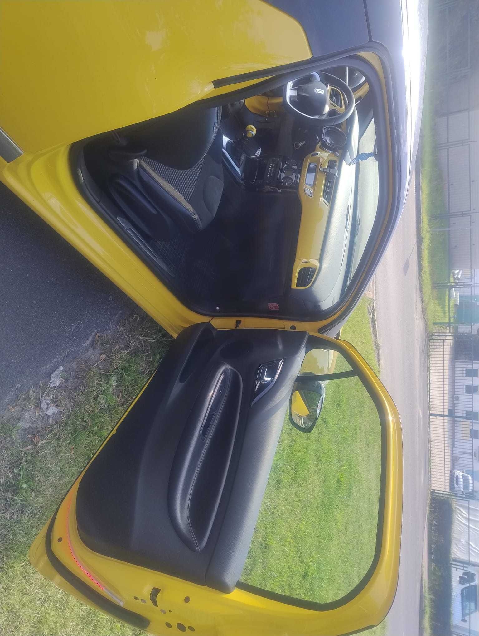 Citroen Ds3 Zadbany