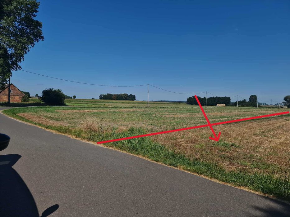 Sprzedam ziemię rolną  – 1,6058 ha. Leszno, gmina Grabów, woj. łódzkie