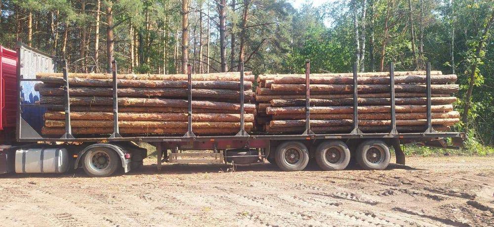 Сосновый кругляк 4-6м сорт С — доставка Харьков и область