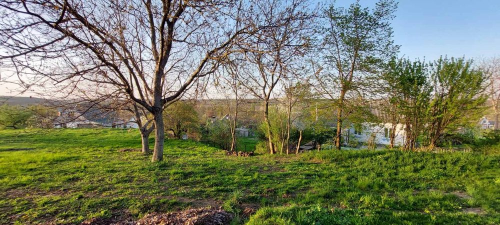 Ділянка з прекрасним видом  в с. Шкарівка під забудову