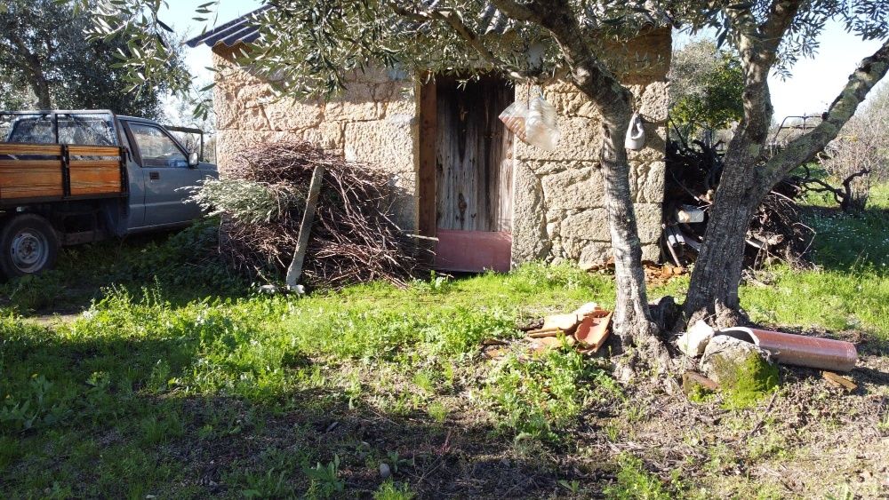 Vende-se quinta na Lardosa, local Ribeirinha.