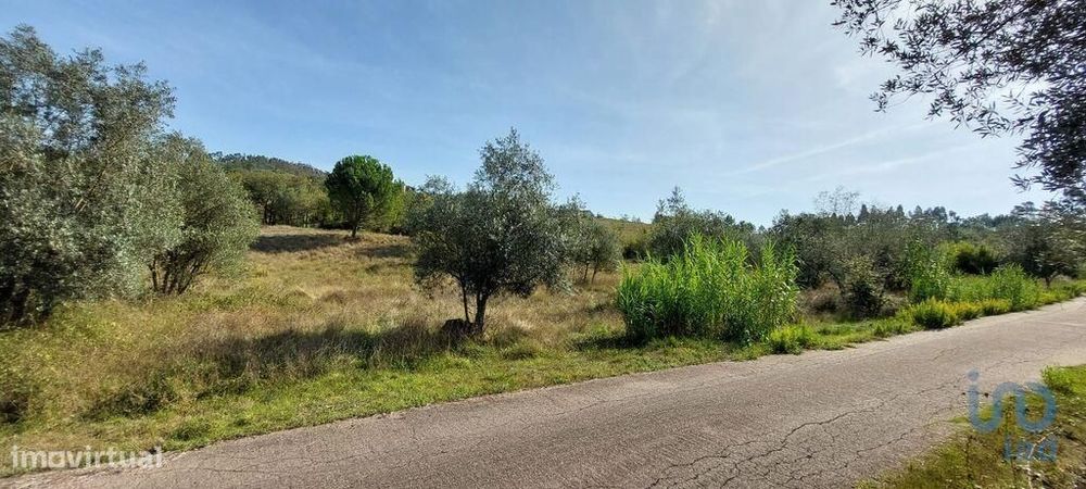 Terreno Agrícola em Colmeias e Memória