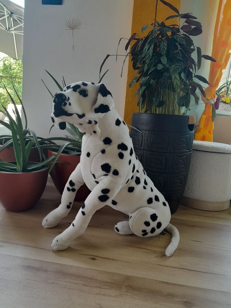Duży pies maskotka dalmatyńczyk 70 cm dla dziecka