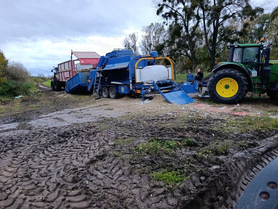 BELE Z kukurydzy BELE z wysłodki kiszonka kukurydzy kukurydza