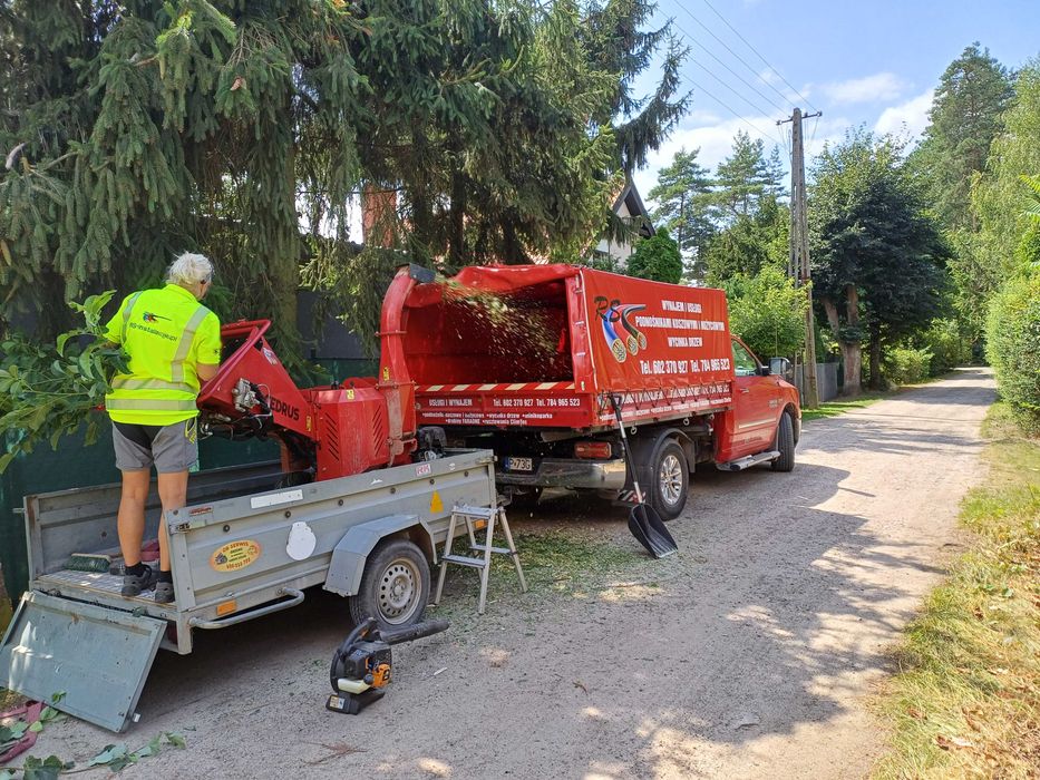 Wycinka drzew, przycinka, GNIEZNO