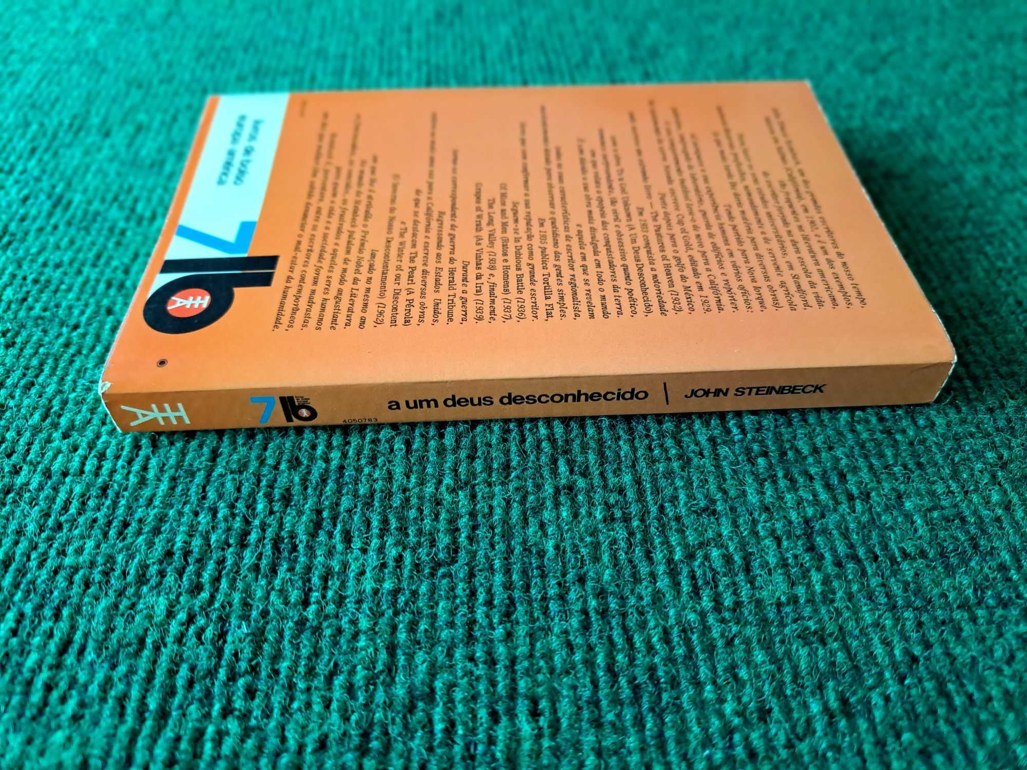 A Um Deus Desconhecido - John Steinbeck