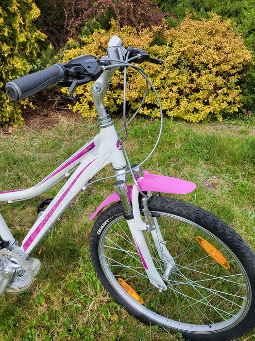 Rower giant areva koła 24, dziewczęcy, biało-różowy, stan bdb