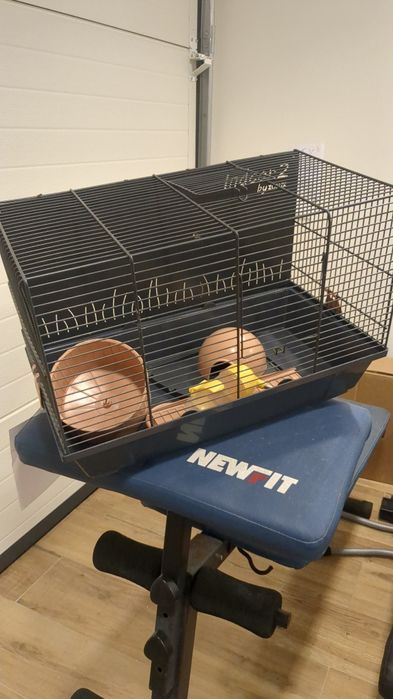 Gaiola hamster com bebedouro e comedouro