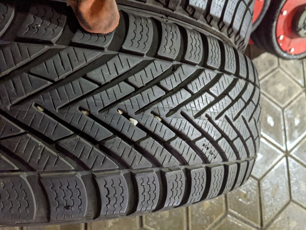 185/60R15 Pirelli зима