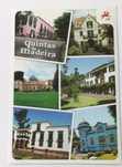 Quintas da Madeira - Pagela