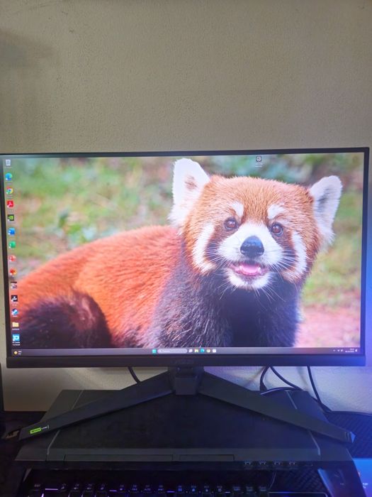 Monitor asus tuf gaming