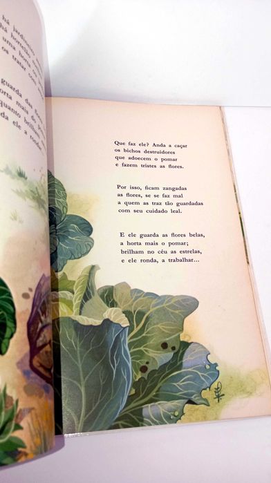 Animais Nossos Amigos