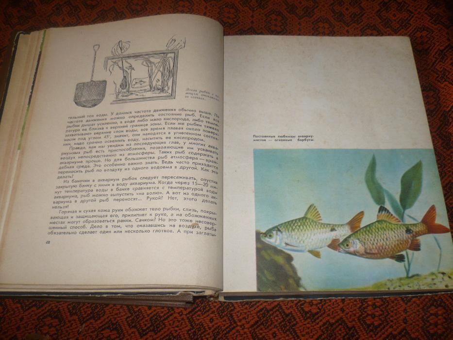 Книга Аквариумные рыбки, растения аквариум