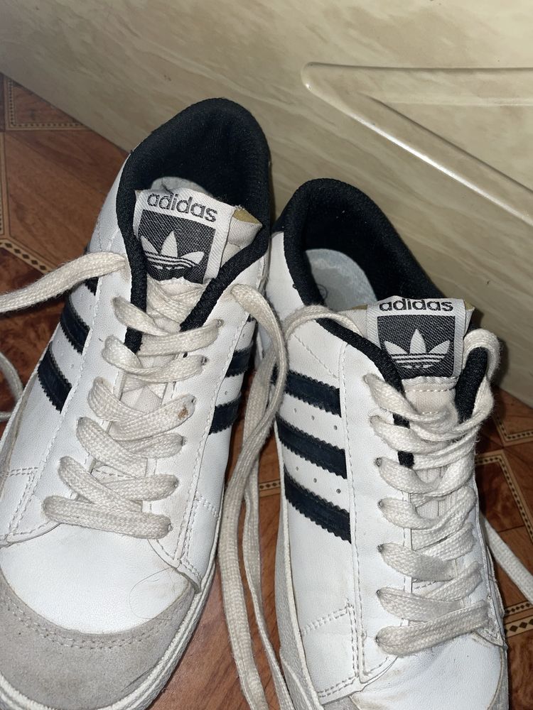 Кросівки  adidas