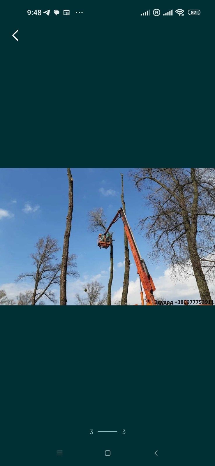 Спил деревьев любой сложности