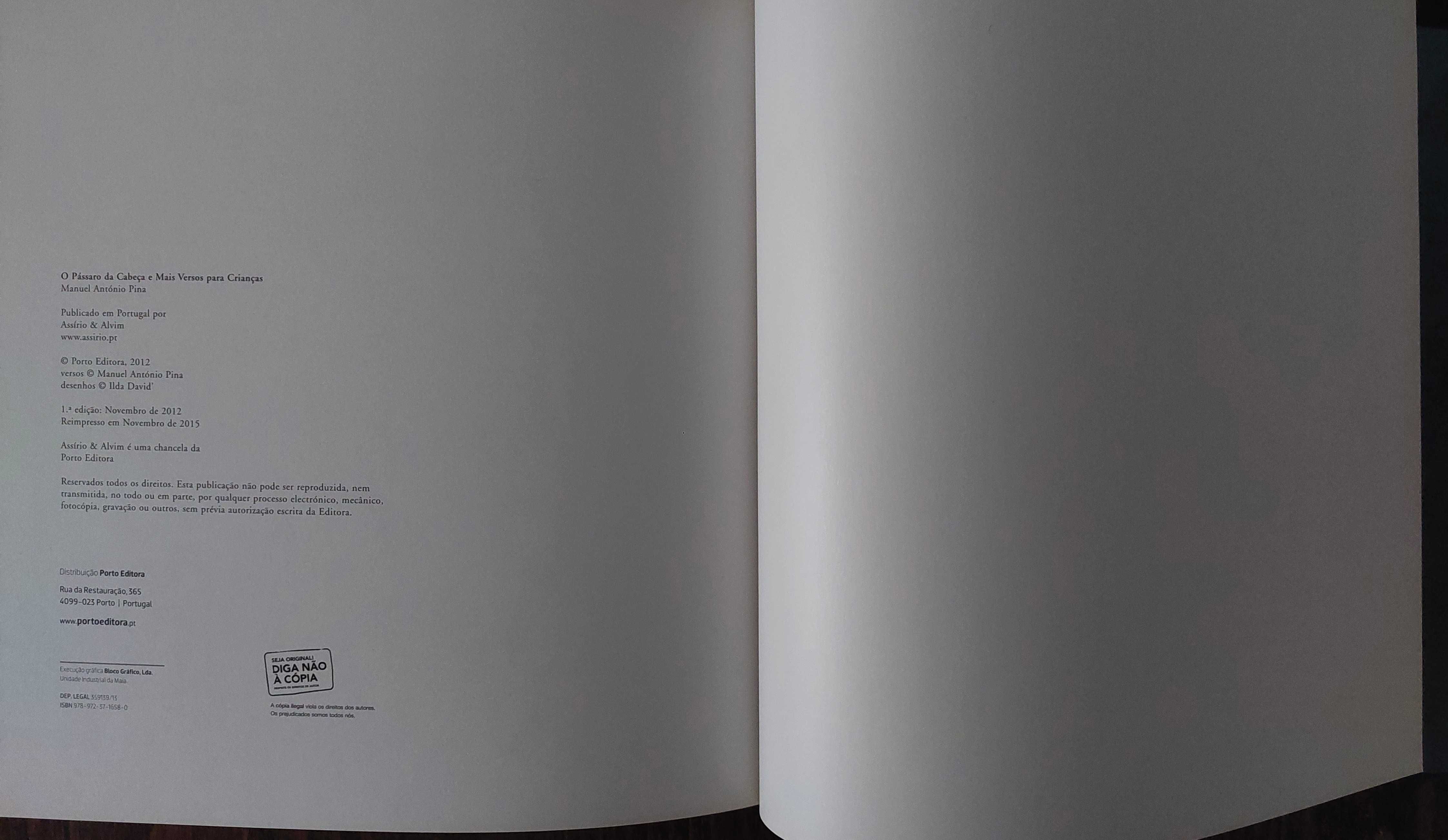 Livro ilustrado para crianças "O Pássaro da Cabeça"