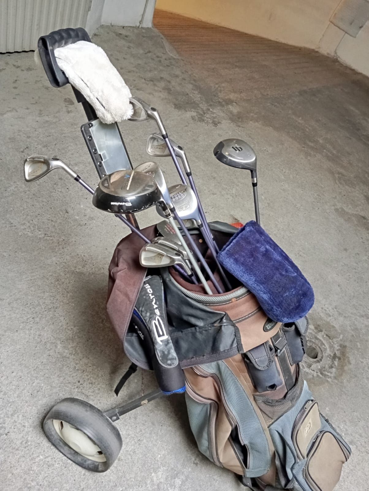 Conjunto de tacos de golfe
