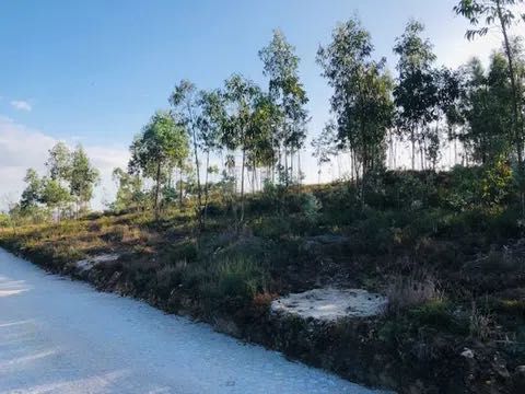 Terreno Único com Vistas de Montanha em Melres - Gondomar