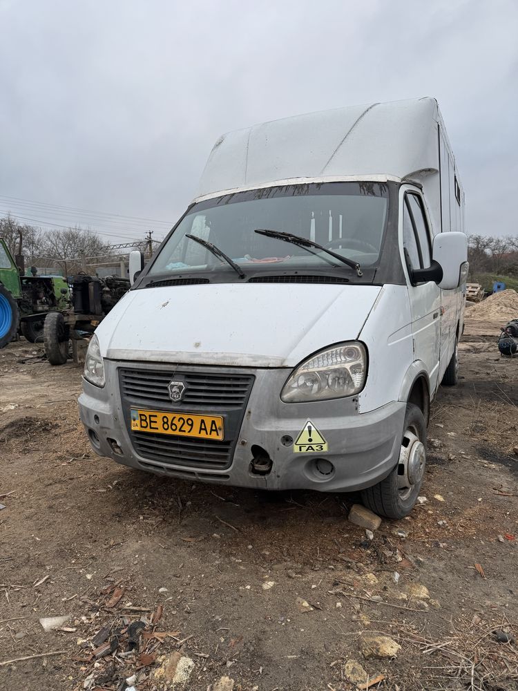 Автобус Рута 19, галель