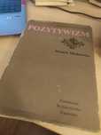 Historia literatury polskiej - Pozytywizm, Henryk Markiewicz
