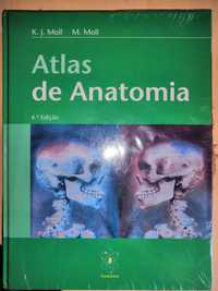 Atlas de Anatomia (NOVO)