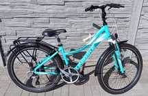 Rower Unibike Emotion 26'