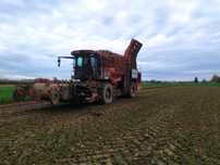 Kombajn do buraków Holmer T2