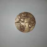 Medalha federação equestre 50anos