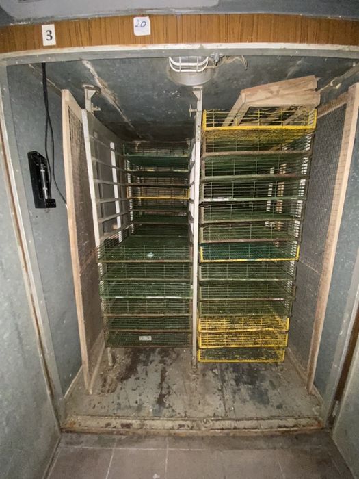 Инкубатор промышленный