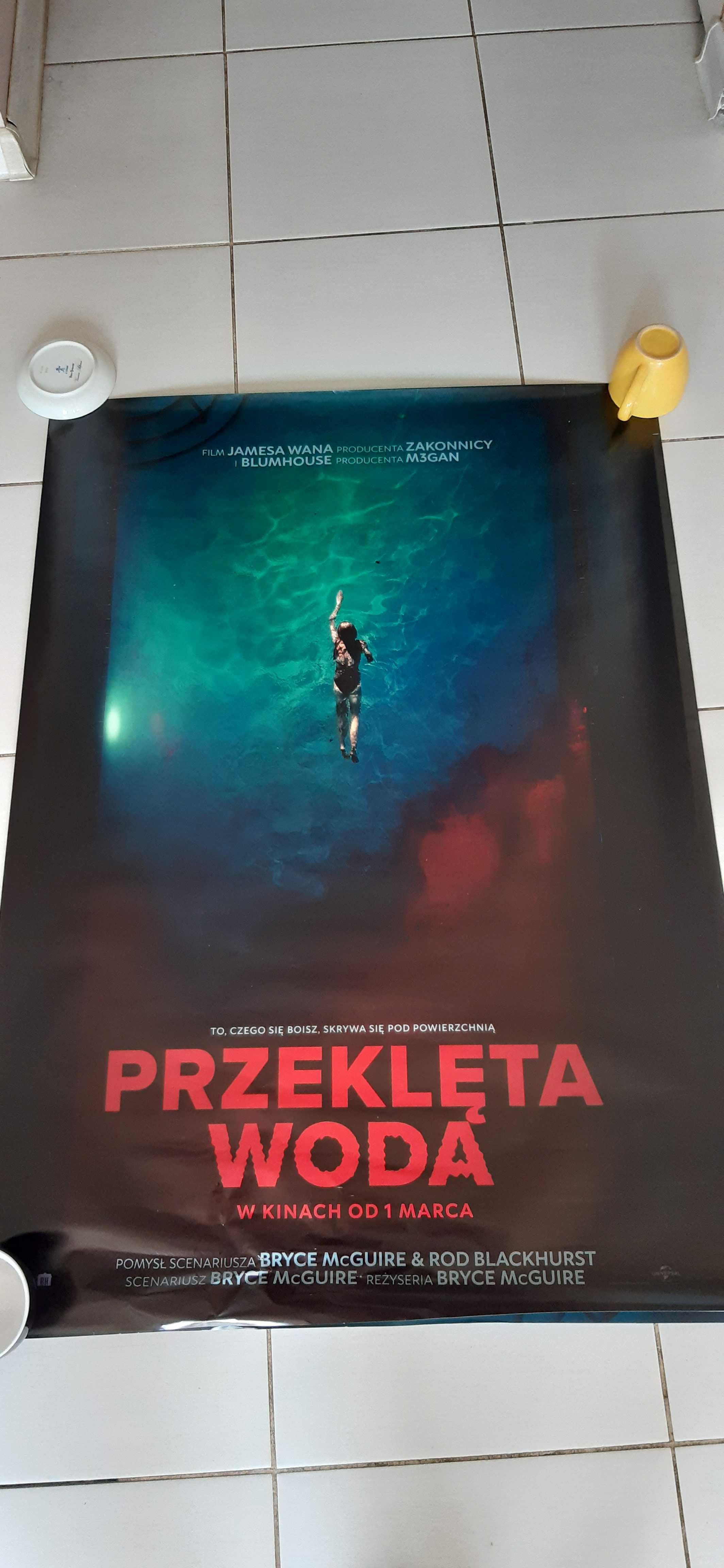 plakat filmowy z filmu horror przeklęta woda