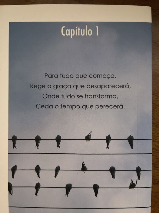 Livro “Capítulo 1”