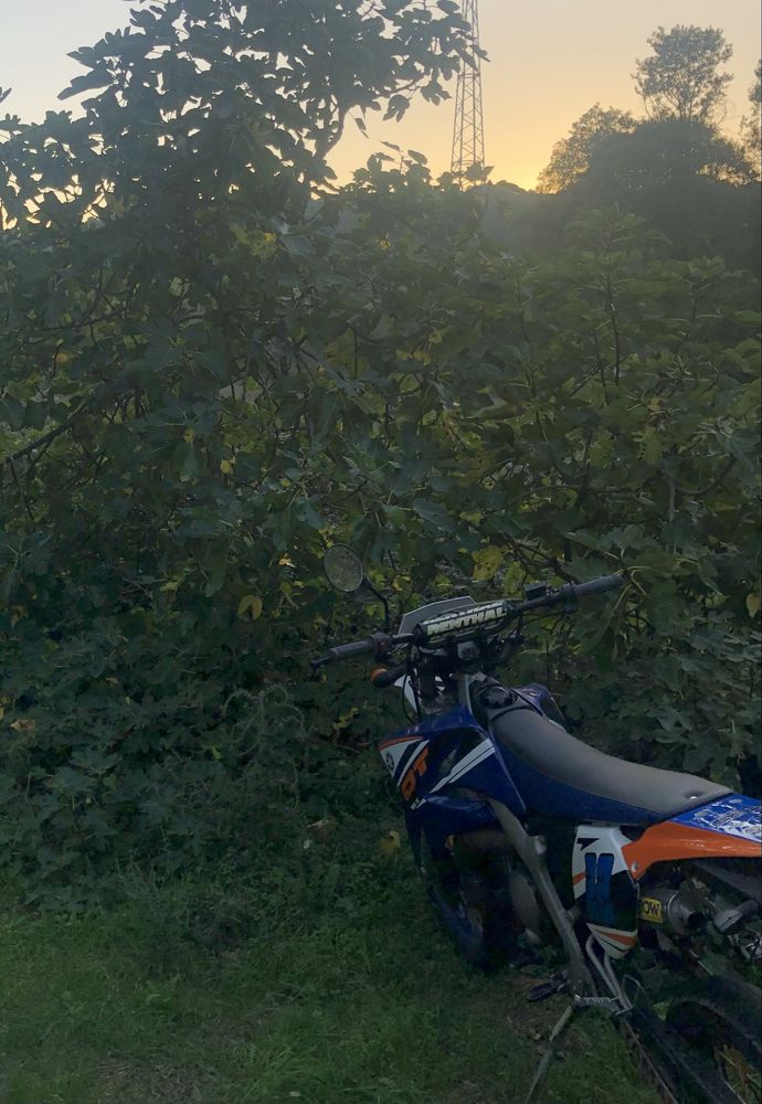 Dt 50 X supermotard ano 2006