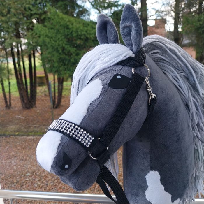 Hobby Horse-koń na kiju