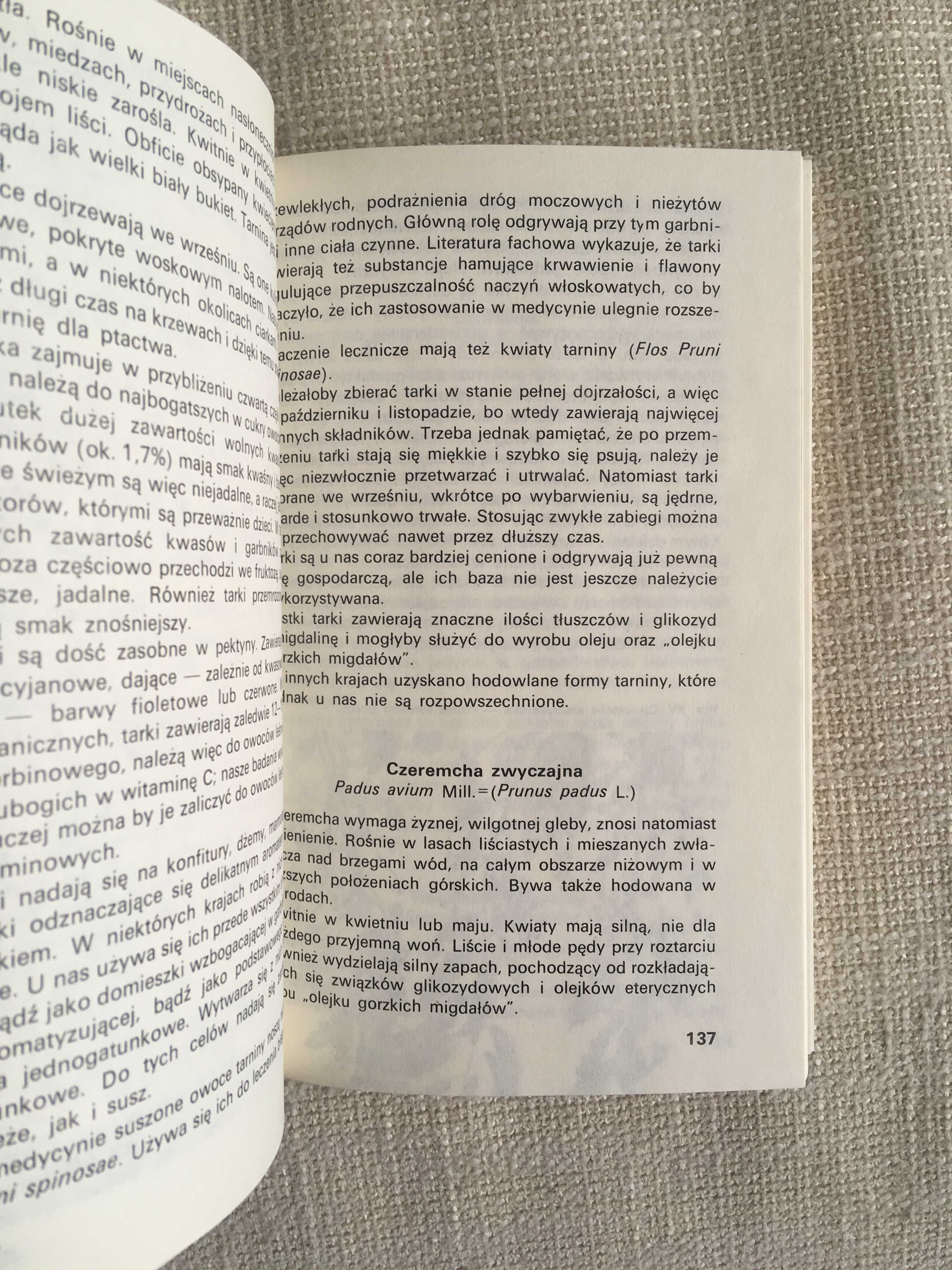 Książka Jadalne owoce leśne, W. Grochowski, stan dobry