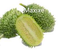 Sementes de pepino maxixe