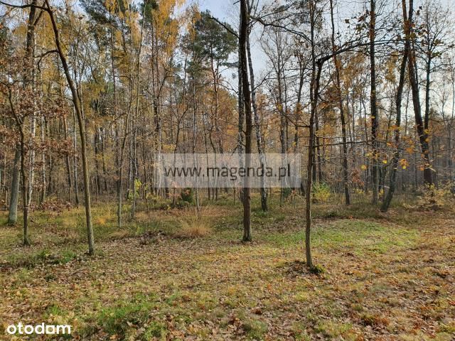 Urocza działka w ciszy - Torfowa - Stara Miłosna