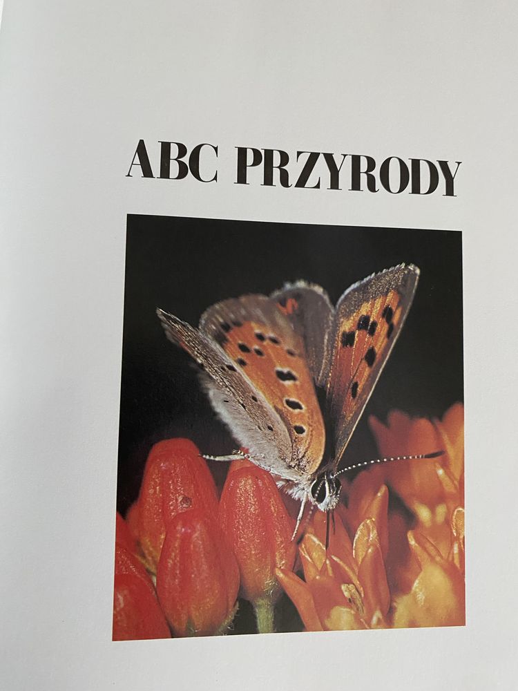 ABC Przyrody Reader’s Digest