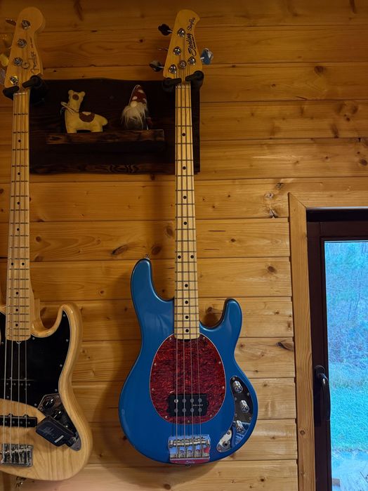 Sterling RAY 24 + pickup Delano, lekki