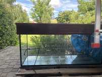 Akwarium 240 l lampy