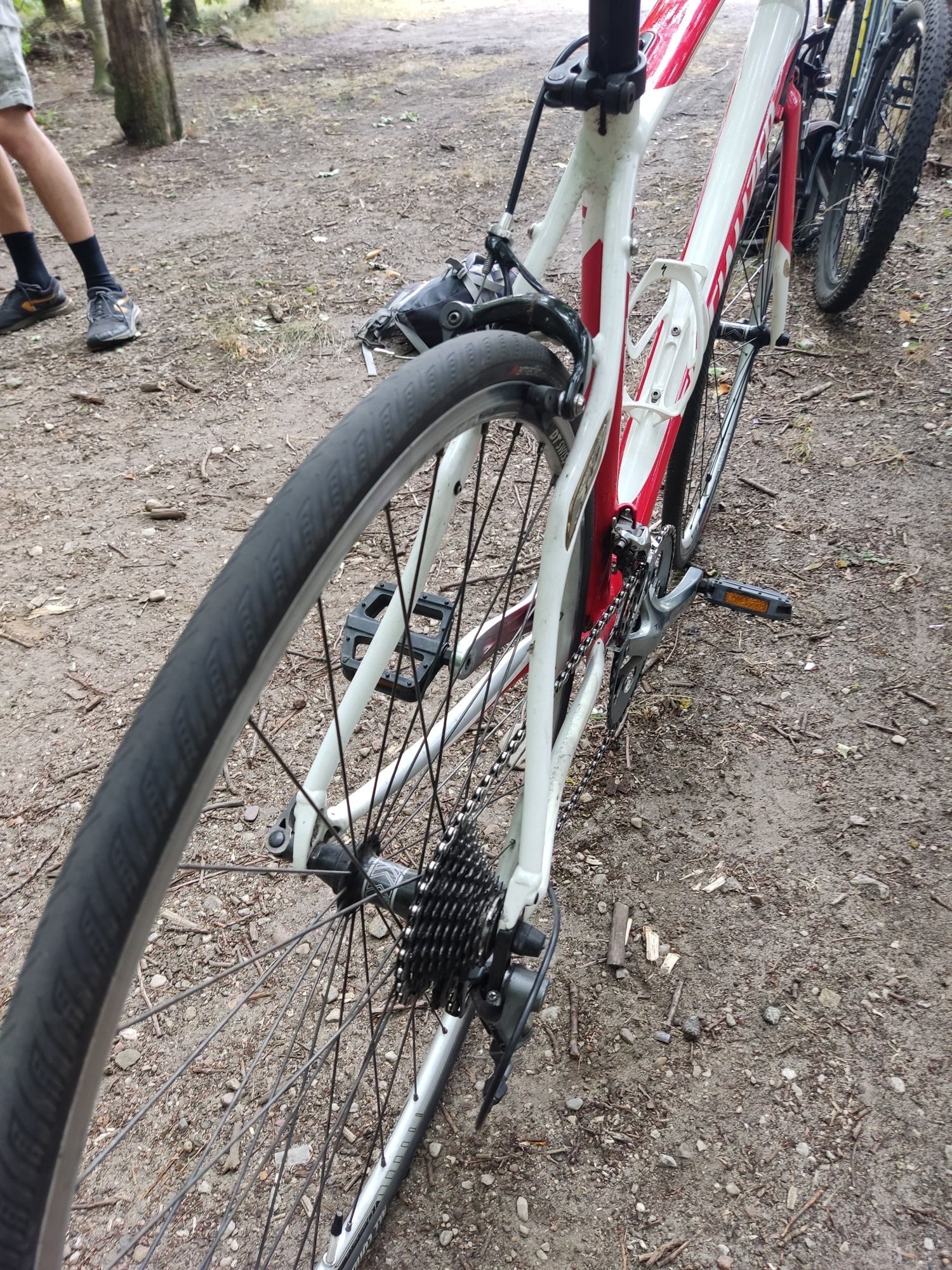 Specialized Secteur Elite stan bdb.
